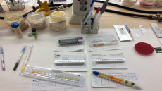 XVIII WORKSHOP